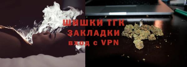 ГАЛЛЮЦИНОГЕННЫЕ ГРИБЫ Алексин