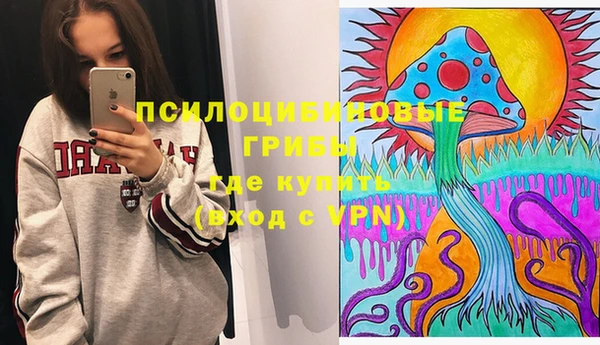 ГАЛЛЮЦИНОГЕННЫЕ ГРИБЫ Алексин