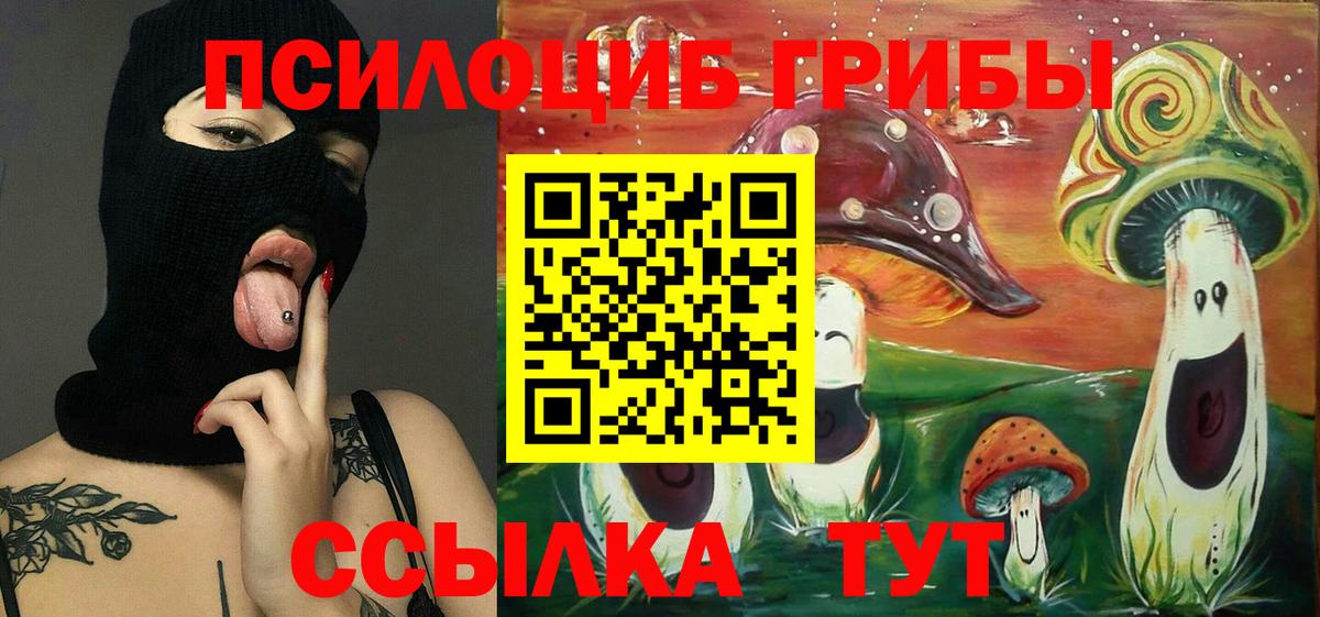 Галлюциногенные грибы Psilocybe  Вход с VPN  Ливны 